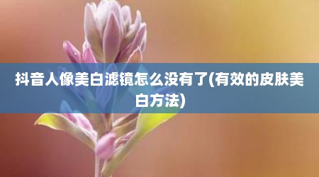 抖音人像美白滤镜怎么没有了(有效的皮肤美白方法)