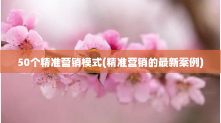 50个精准营销模式(精准营销的最新案例)