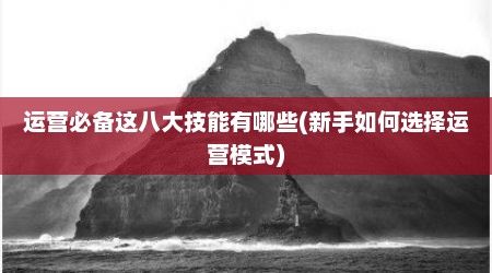 运营必备这八大技能有哪些(新手如何选择运营模式)
