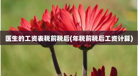 医生的工资表税前税后(年税前税后工资计算)