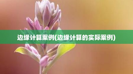 边缘计算案例(边缘计算的实际案例)