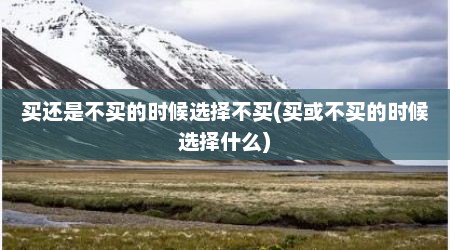 买还是不买的时候选择不买(买或不买的时候选择什么)