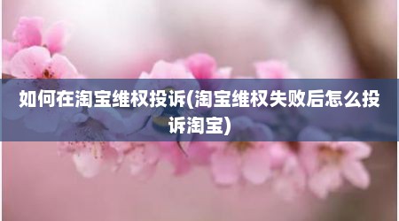如何在淘宝维权投诉(淘宝维权失败后怎么投诉淘宝)