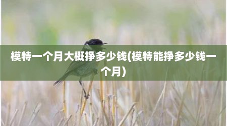 模特一个月大概挣多少钱(模特能挣多少钱一个月)