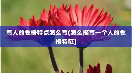 写人的性格特点怎么写(怎么描写一个人的性格特征)