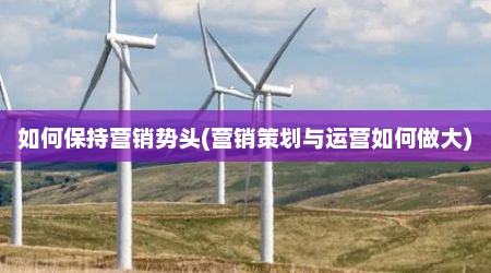 如何保持营销势头(营销策划与运营如何做大)