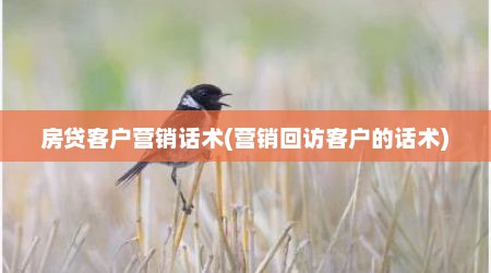 房贷客户营销话术(营销回访客户的话术)
