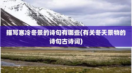 描写寒冷冬景的诗句有哪些(有关冬天景物的诗句古诗词)