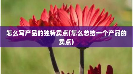 怎么写产品的独特卖点(怎么总结一个产品的卖点)