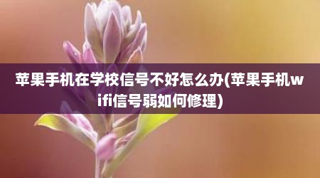 苹果手机在学校信号不好怎么办(苹果手机wifi信号弱如何修理)