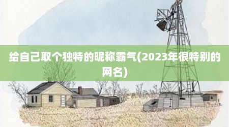 给自己取个独特的昵称霸气(2023年很特别的网名)