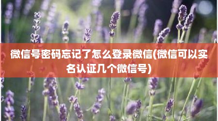 微信号密码忘记了怎么登录微信(微信可以实名认证几个微信号)