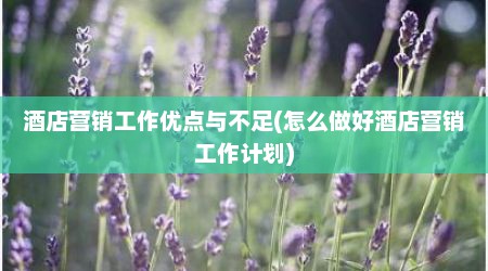 酒店营销工作优点与不足(怎么做好酒店营销工作计划)