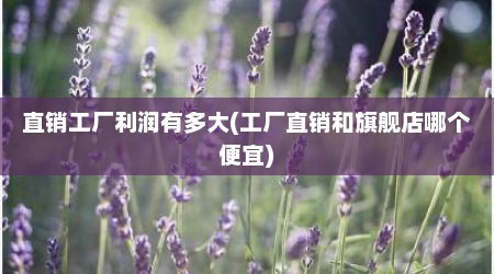 直销工厂利润有多大(工厂直销和旗舰店哪个便宜)