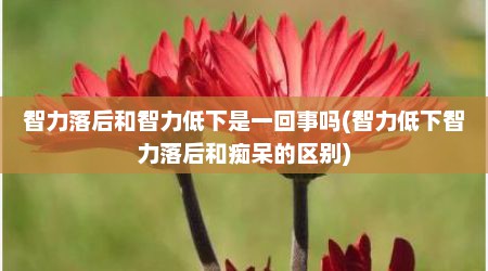 智力落后和智力低下是一回事吗(智力低下智力落后和痴呆的区别)