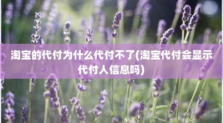 淘宝的代付为什么代付不了(淘宝代付会显示代付人信息吗)