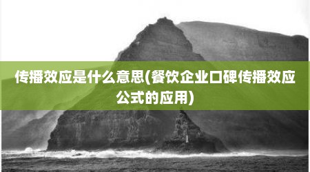 传播效应是什么意思(餐饮企业口碑传播效应公式的应用)