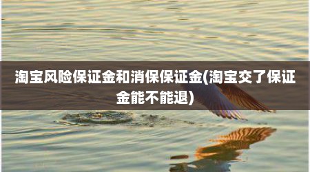淘宝风险保证金和消保保证金(淘宝交了保证金能不能退)