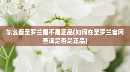 怎么看圣罗兰是不是正品(如何在圣罗兰官网查询是否是正品)