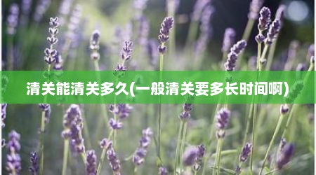 清关能清关多久(一般清关要多长时间啊)