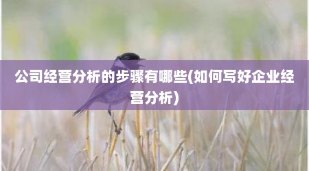 公司经营分析的步骤有哪些(如何写好企业经营分析)