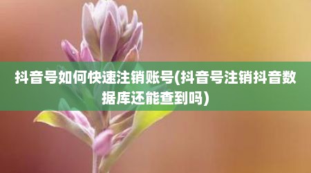 抖音号如何快速注销账号(抖音号注销抖音数据库还能查到吗)
