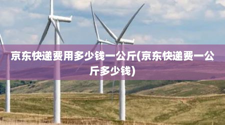 京东快递费用多少钱一公斤(京东快递费一公斤多少钱)