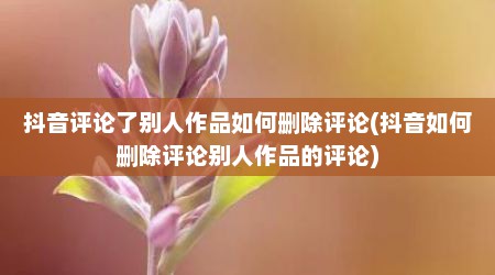 抖音评论了别人作品如何删除评论(抖音如何删除评论别人作品的评论)