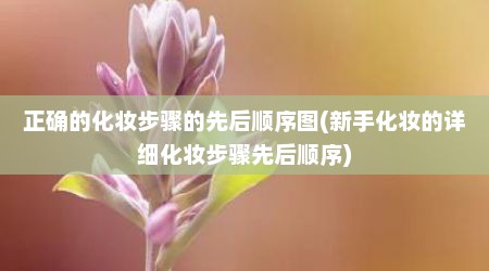 正确的化妆步骤的先后顺序图(新手化妆的详细化妆步骤先后顺序)