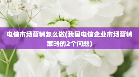 电信市场营销怎么做(我国电信企业市场营销策略的2个问题)