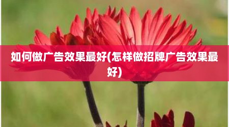 如何做广告效果最好(怎样做招牌广告效果最好)