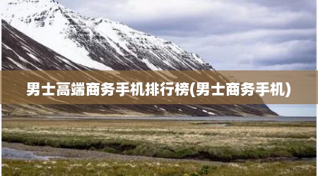 男士高端商务手机排行榜(男士商务手机)