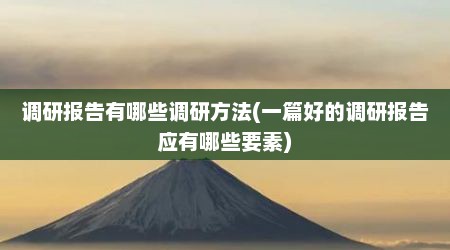 调研报告有哪些调研方法(一篇好的调研报告应有哪些要素)