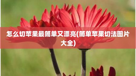 怎么切苹果最简单又漂亮(简单苹果切法图片大全)