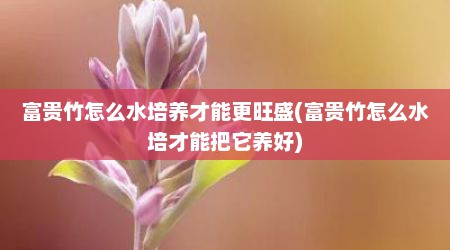 富贵竹怎么水培养才能更旺盛(富贵竹怎么水培才能把它养好)