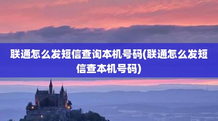 联通怎么发短信查询本机号码(联通怎么发短信查本机号码)
