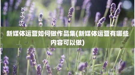 新媒体运营如何做作品集(新媒体运营有哪些内容可以做)