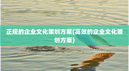 正规的企业文化策划方案(高效的企业文化策划方案)