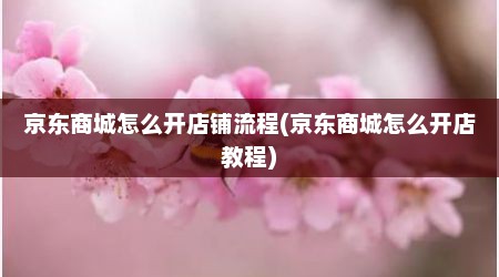 京东商城怎么开店铺流程(京东商城怎么开店教程)