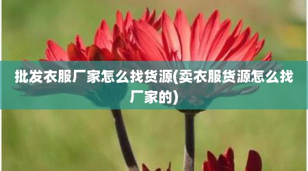 批发衣服厂家怎么找货源(卖衣服货源怎么找厂家的)