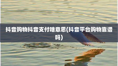 抖音购物抖音支付啥意思(抖音平台购物靠谱吗)