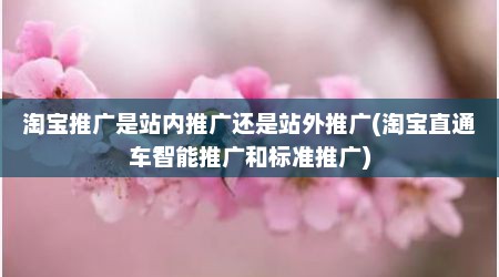 淘宝推广是站内推广还是站外推广(淘宝直通车智能推广和标准推广)