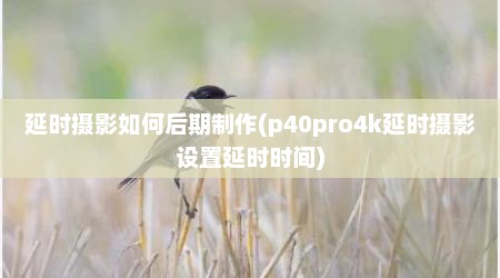 延时摄影如何后期制作(p40pro4k延时摄影设置延时时间)