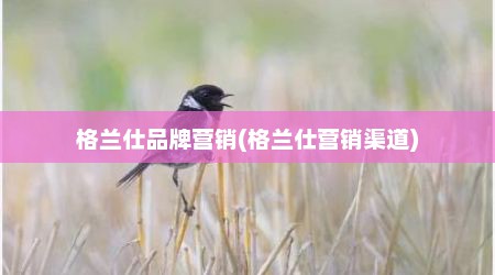 格兰仕品牌营销(格兰仕营销渠道)