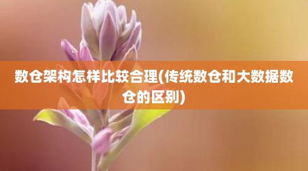 数仓架构怎样比较合理(传统数仓和大数据数仓的区别)