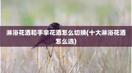 淋浴花洒和手拿花洒怎么切换(十大淋浴花洒怎么选)