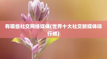 有哪些社交网络媒体(世界十大社交新媒体排行榜)