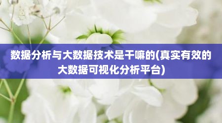数据分析与大数据技术是干嘛的(真实有效的大数据可视化分析平台)