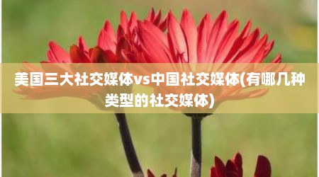 美国三大社交媒体vs中国社交媒体(有哪几种类型的社交媒体)