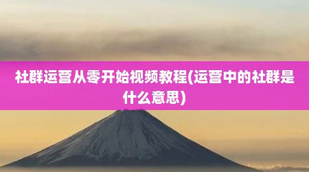 社群运营从零开始视频教程(运营中的社群是什么意思)